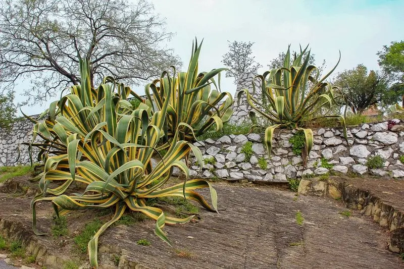 Admirer-le site de Izamal