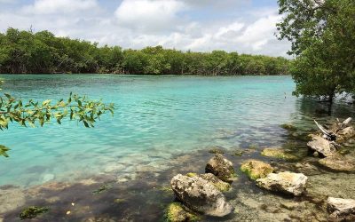 Excursions au Mexique – Destination : Las Coloradas