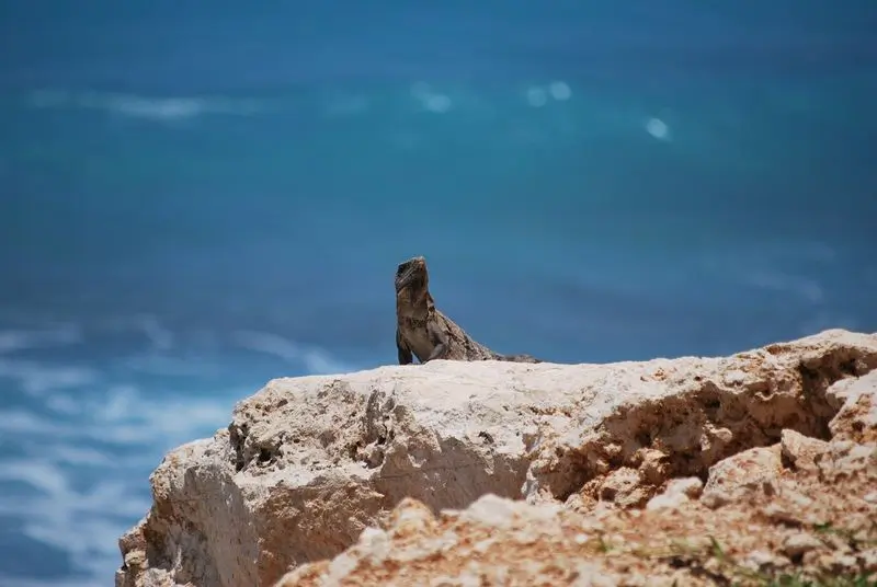 Destination :-le site de Tulum