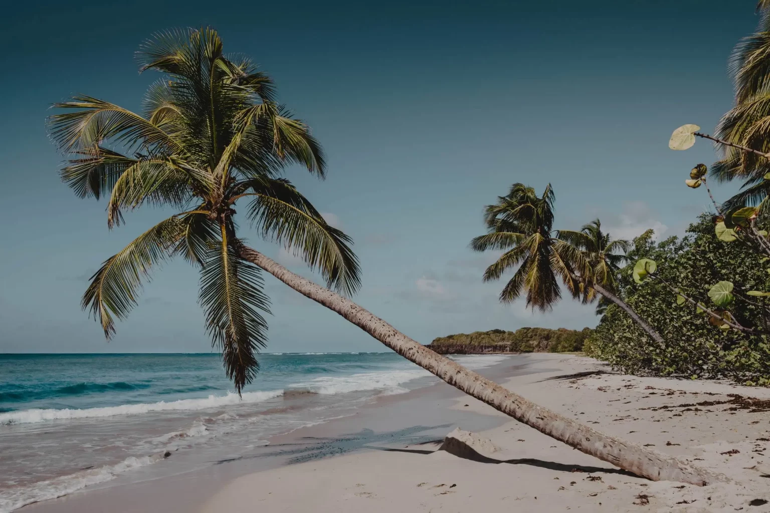 Excursion :-la Playa del Carmen