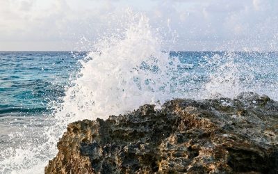 Excursions au Mexique – Forfait excursion : Cozumel