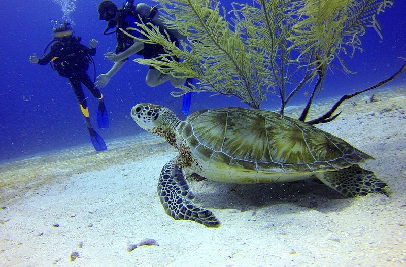 Vos vacances :-le Quintana Roo